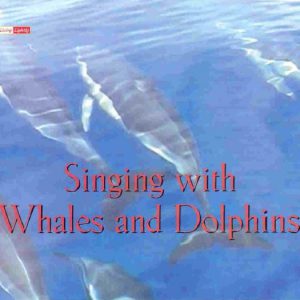 whalesanddolphins-e1403420501402